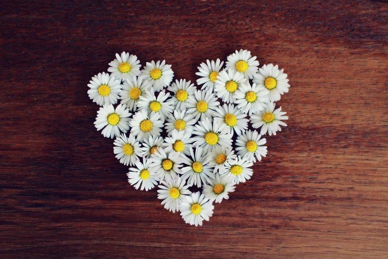 Eclipsed Hearts